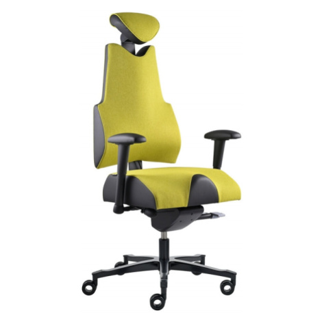 PROWORK zdravotní židle Therapia Body+ Lime HX55/KX99