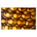 Fotografie Honeycomb ultra Macro Photo, gulfu photography, 40 × 26.7 cm