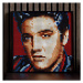 LEGO® Art 31204 Elvis Presley