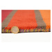 Flair Rugs koberce Ručně tkaný kusový koberec Illusion Candy Multi - 120x170 cm