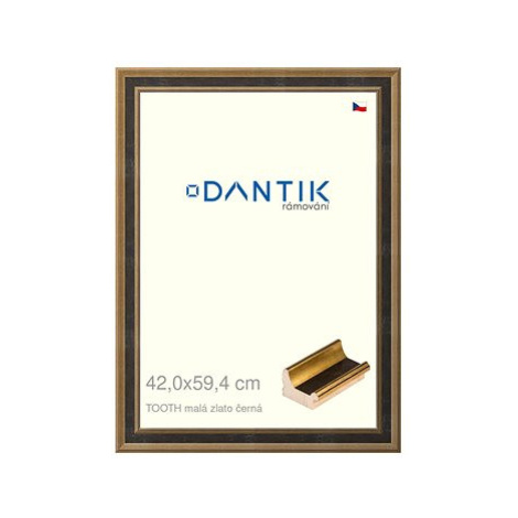 DANTIK rámeček 42 × 59,4, TOOTH malý zlato černý plexi čiré