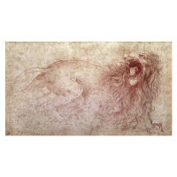 Obrazová reprodukce Sketch of a roaring lion, Leonardo da Vinci, 40 × 22.2 cm