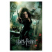 Umělecký tisk Harry Potter - Belatrix Lestrange, 26.7 × 40 cm