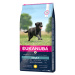 Eukanuba Adult Large Breed kuřecí - výhodné balení: 2 x 15 kg