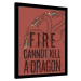 Obraz na zeď - Hra o Trůny (Game of Thrones) - Fire Cannot Kill The Dragon, 30x40 cm