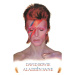 Plakát, Obraz - David Bowie - Aladdin Sane, (61 x 91.5 cm)