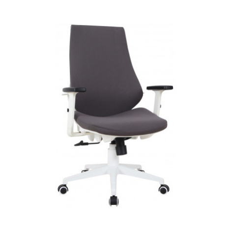 Kancelářská židle Epos, bílá/šedá Asko
