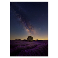 Fotografie Milky Way dreams, Carlos Hernandez Martinez, 26.7x40 cm