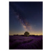 Fotografie Milky Way dreams, Carlos Hernandez Martinez, 26.7x40 cm