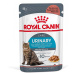 Royal Canin Urinary Care v omáčce - 48 x 85 g
