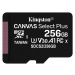 Kingston MicroSDXC karta 256GB Canvas Select Plus 100R A1 C10 - 1 ks