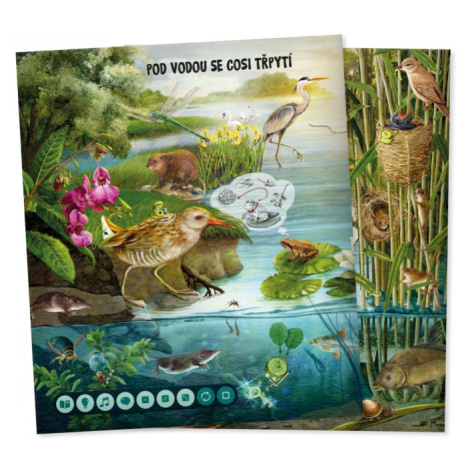 Kouzelné čtení Kniha Hravá přírodověda Albi