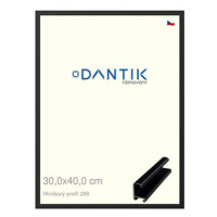 DANTIK rámeček 30 × 40, ALU profil 7269 Černý matný plexi čiré