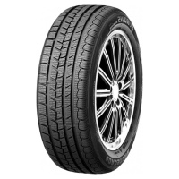 ROADSTONE 185/55 R 14 80T EUROVIS_ALP ROADSTONE