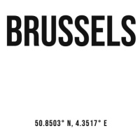 Ilustrace Brussels simple coordinates, Finlay & Noa, 30 × 40 cm