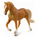 Collecte - Tennesse Jezdecký Kůň Hřebec Zlatý Palomino
