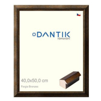 DANTIK rámeček 40 × 50, Forgia Bronzea sklo čiré