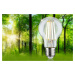 PAULMANN Eco-Line Filament 230V LED žárovka E27 1ks-sada 2,5W 3000K čirá