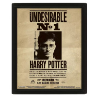 3D obraz Harry Potter - Sirius