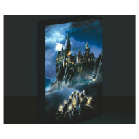 Harry Potter obraz LED svítící 30x40 cm - Bradavice - EPEE