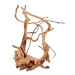 Zolux Spider root přírodní naplavené dřevo 40-50 cm
