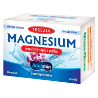 TEREZIA Magnesium rozpustný nápoj v prášku 30x6g