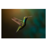 Umělecká fotografie Close-up of hummingbird flying over water,Jardin, Pablo Ramos / 500px, (40 x