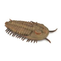 MAC TOYS - Redlichia Rex Trilobit