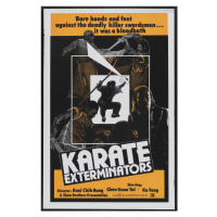 Ilustrace Karate Exterminators, 26.7 × 40 cm