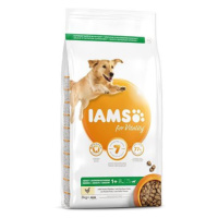 IAMS Dog Adult Large Chicken 3 kg