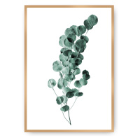 Dekoria Plakát Eucalyptus Emerald Green, 21 x 30 cm, Ramka: Złota