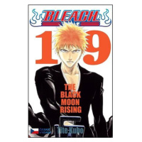 Bleach 19: The Black Moon Rising