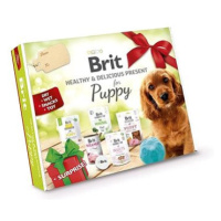 Brit Healthy & Delicious Present For Puppy 2023