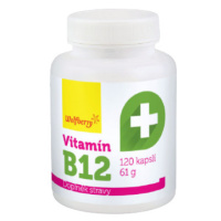 Wolfberry Vitamín B12 120 kapslí