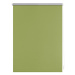 Lichtblick Termo zatemňovací roleta, od 45 x 150 cm (65 x 150 cm, zelená)