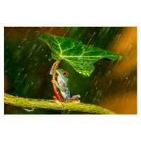 Fotografie Ohh Noo :( It's Raining, Kutub Uddin, 40 × 26.7 cm