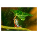 Fotografie Ohh Noo :( It's Raining, Kutub Uddin, 40 × 26.7 cm