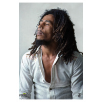 Plakát, Obraz - Bob Marley - Redemption, 61x91.5 cm