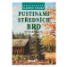 Tajemné stezky - Pustinami středních Brd - Otomar Dvořák