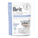 Brit Veterinary Brit VD Cat GF Care Calm&Stress Relief 400g