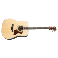 Taylor Legacy 810e