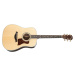 Taylor Legacy 810e