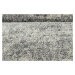 B-line  Kusový koberec Phoenix 6004-544 - 120x170 cm