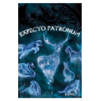 Plakát Harry Potter - Patronus