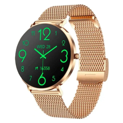 CARNEO Phoenix HR+ 2nd Gen/41mm/Gold/Elegant Band/Gold