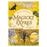 Magický expres - Mezi světlem a stíny - Anca Sturmová