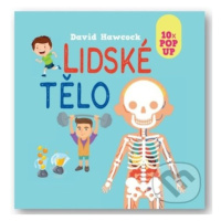 Lidské tělo (10x Pop Up) - David Hawcock - kniha z kategorie Naučné knihy