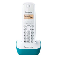 Panasonic KX-TG1611FXC Blue/Green