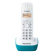 Panasonic KX-TG1611FXC Blue/Green