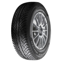 Cooper Discoverer Winter ( 215/55 R17 98V XL )